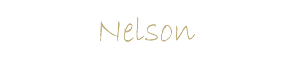 Nelson Executive Apartment