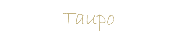 Taupo Travelers Room